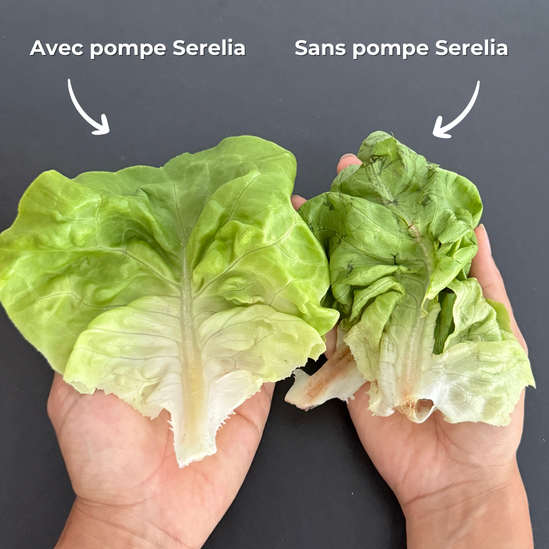 Pompe sous vide anti-gaspillage