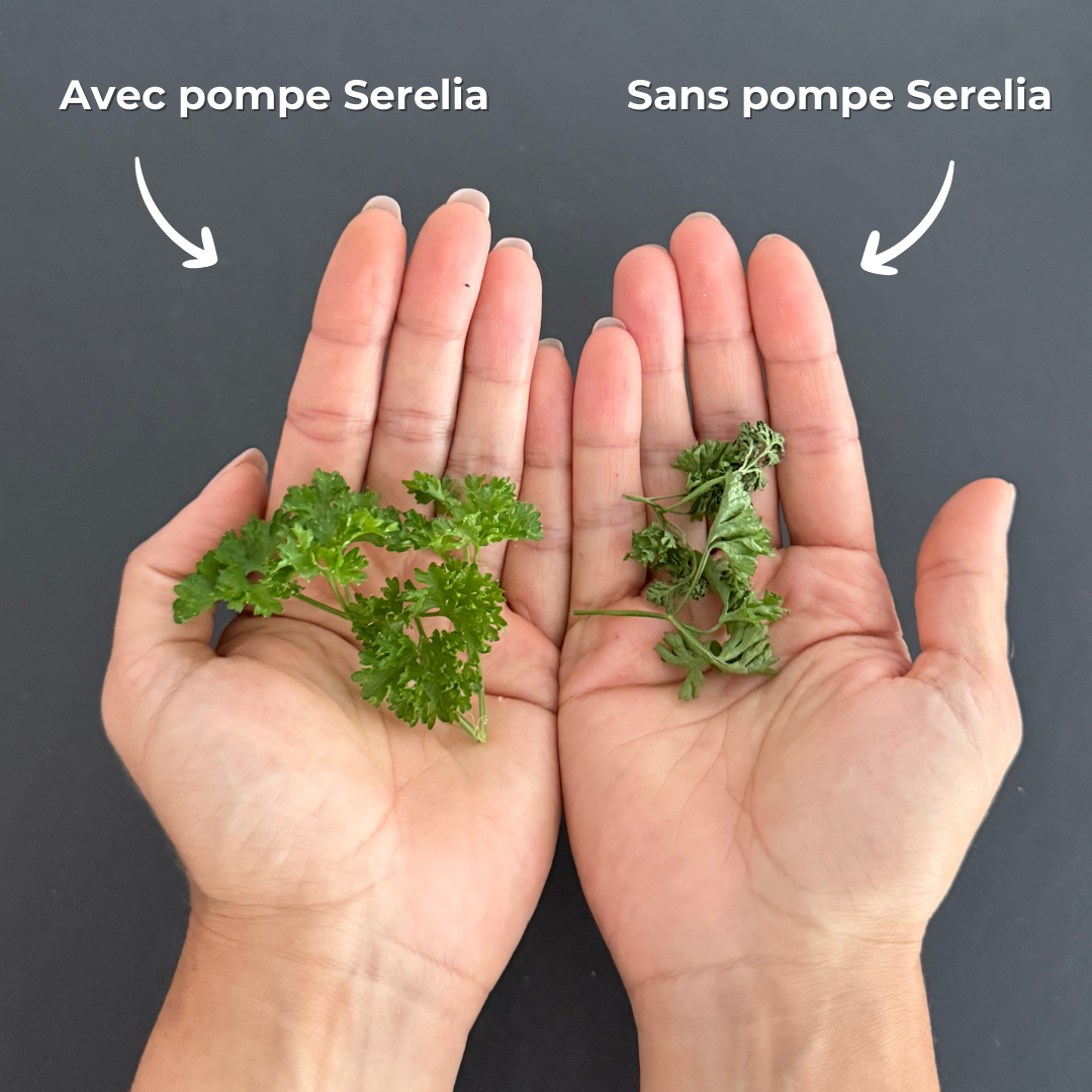Pompe sous vide anti-gaspillage