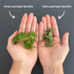 Pompe sous vide anti-gaspillage