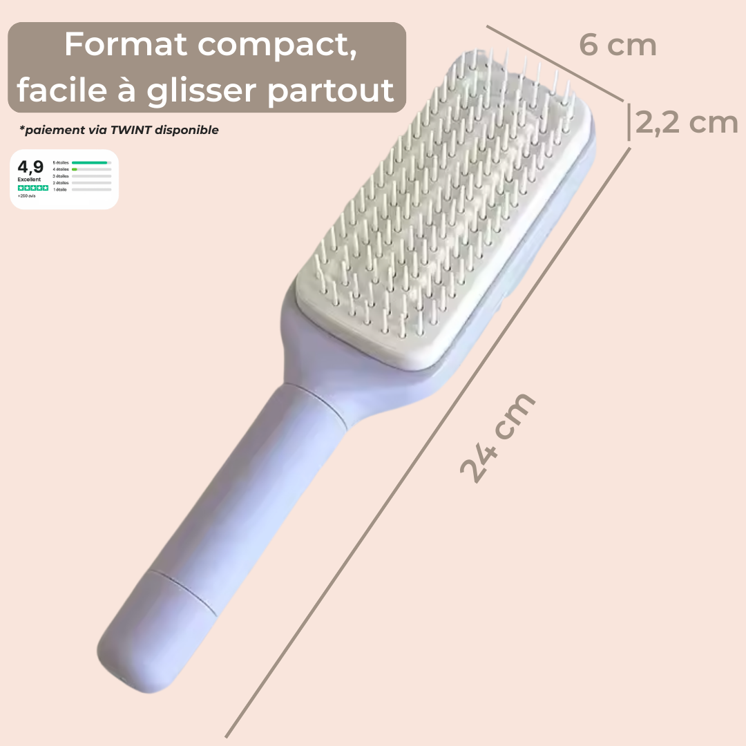 Brosse SmartClean